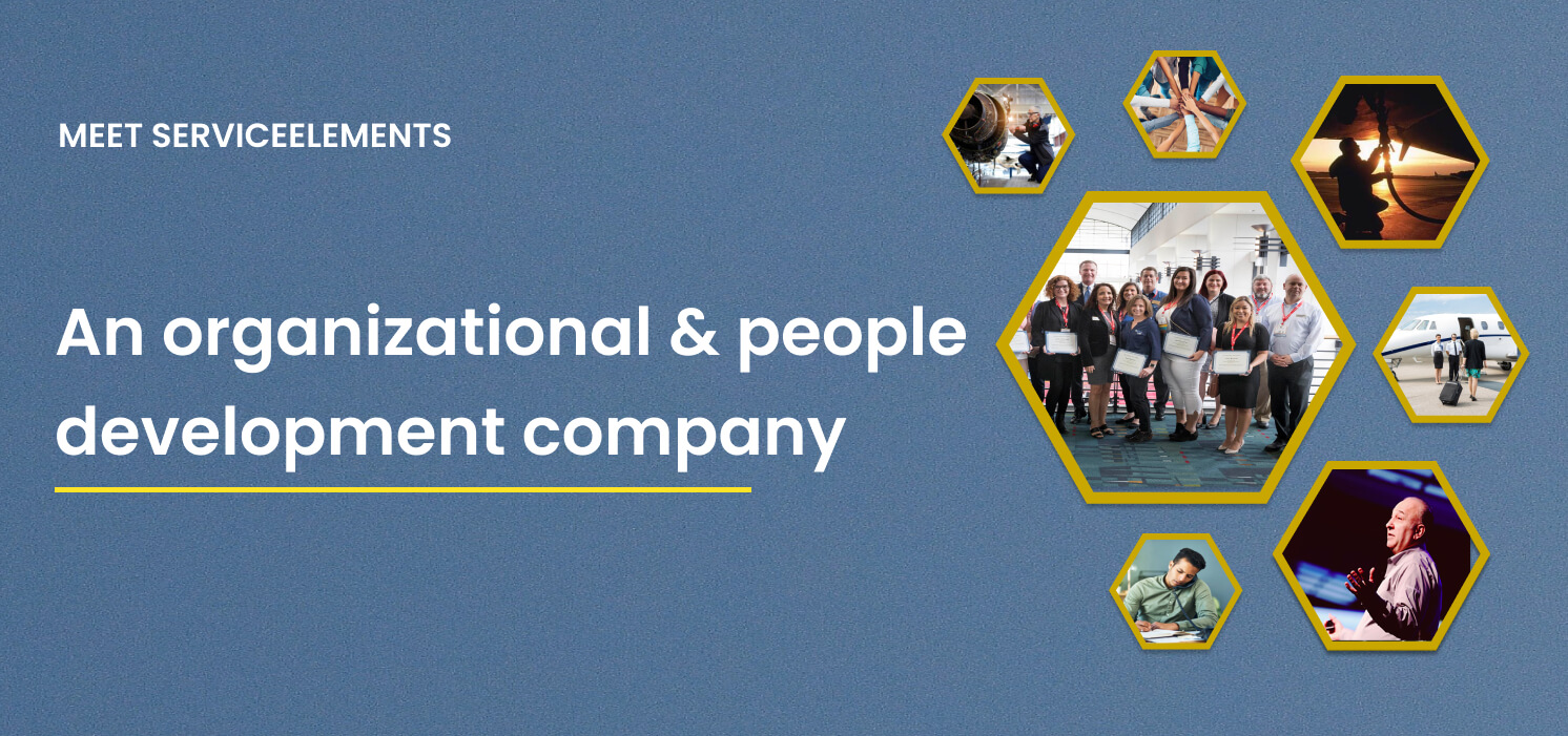 Meet ServiceElements - An organizational & people development company